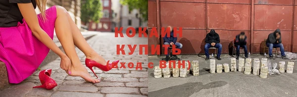 ГАЛЛЮЦИНОГЕННЫЕ ГРИБЫ Вяземский