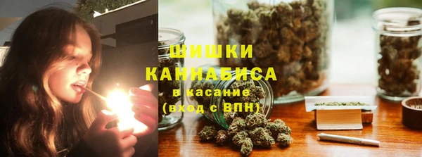 сатива Вязники