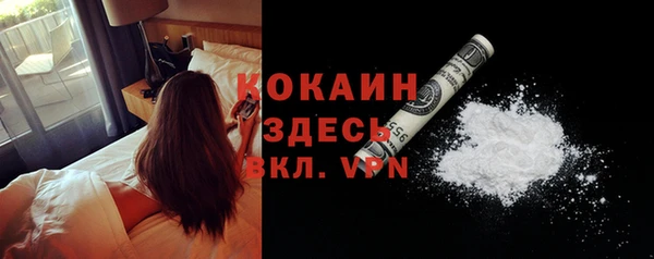 PSILOCYBIN Калининец