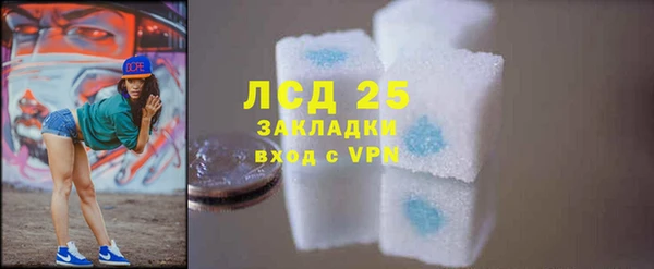 ГАЛЛЮЦИНОГЕННЫЕ ГРИБЫ Вяземский
