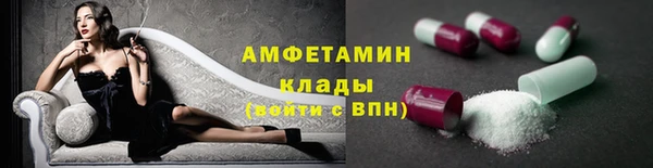 ГАЛЛЮЦИНОГЕННЫЕ ГРИБЫ Вяземский