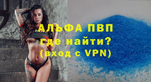 ГАЛЛЮЦИНОГЕННЫЕ ГРИБЫ Вяземский