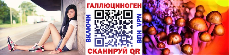 Купить  Бикин  Псилоцибиновые грибы MAGIC MUSHROOMS 